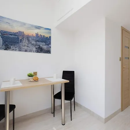 Spacious Family With Air Conditioning In Downtown By Renters ורשה